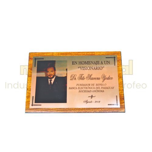 Imagen de Placa de reconocimiento - M3.161